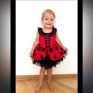 Fairy Dust Ladybug Costume Dress Toddler Girls Size 4T EUC